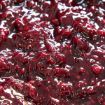 Fruttidor Frutos del Bosque IRCA 3,3kg — preparado de bayas silvestres para pastelería y panadería