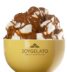 Aplicacion Joycream Caramelo Fleur de Sel IRCA 5kg — crema untable de caramelo y flor de sal para helado