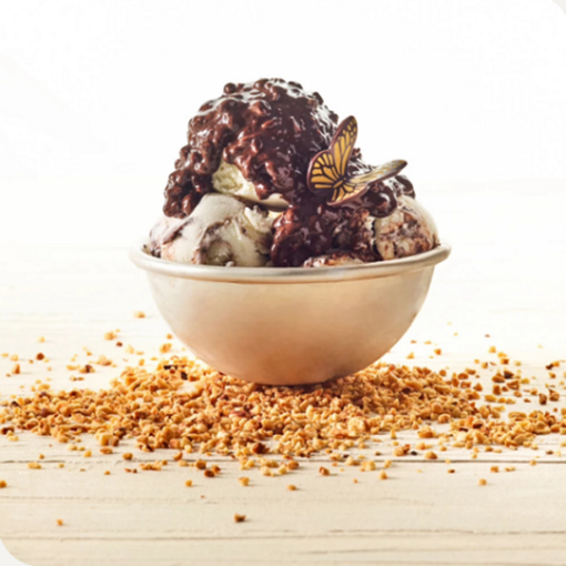 Joycream Bésame Mucho IRCA 5kg — crema variegato de gianduia con avellanas y galleta crujiente