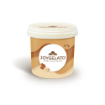 Envase Joycream Caramellato IRCA 5kg — salsa de caramelo oscuro para variegar helado artesanal