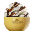 Producto Joycream Caramellato IRCA 5kg — salsa de caramelo oscuro para variegar helado artesanal