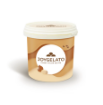 Envase Joycream Cacao Avellana IRCA 5kg — crema variegato de cacao y avellana para helado artesanal