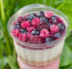 Producto Dolcefruta Frutos del Bosque — mezcla premium de fresa, mora, frambuesa y arándano para heladería y pastelería