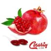 Infografia Cesarín Veteado Granada — salsa premium color rojo translúcido para heladería y pastelería