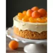 Ravifruit Puré Albaricoque — puré de fruta natural para pastelería, heladería y coctelería