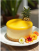 Ravifruit Puré Piña — puré de fruta tropical natural para pastelería y heladería