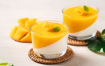 Producto Ravifruit Puré Mango — puré de fruta tropical natural para pastelería y heladería