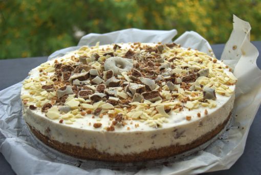 Artiach Filipino Blanco Triturado — galleta crujiente para pastelería y heladería
