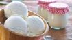 Aplicacion Gelatop Pasta Nata Cremona — pasta aromatizante sabor nata para helados y postres profesionales