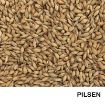 Malta Caramelizada — grano de malta premium para cerveza artesanal y panadería profesional 25kg 