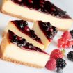 Cheesecake Mix — preparado profesional en polvo para cheesecake en frío sin gluten