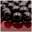 Cerezas Amarenas en Almíbar — fruta gourmet para repostería y cocina salada